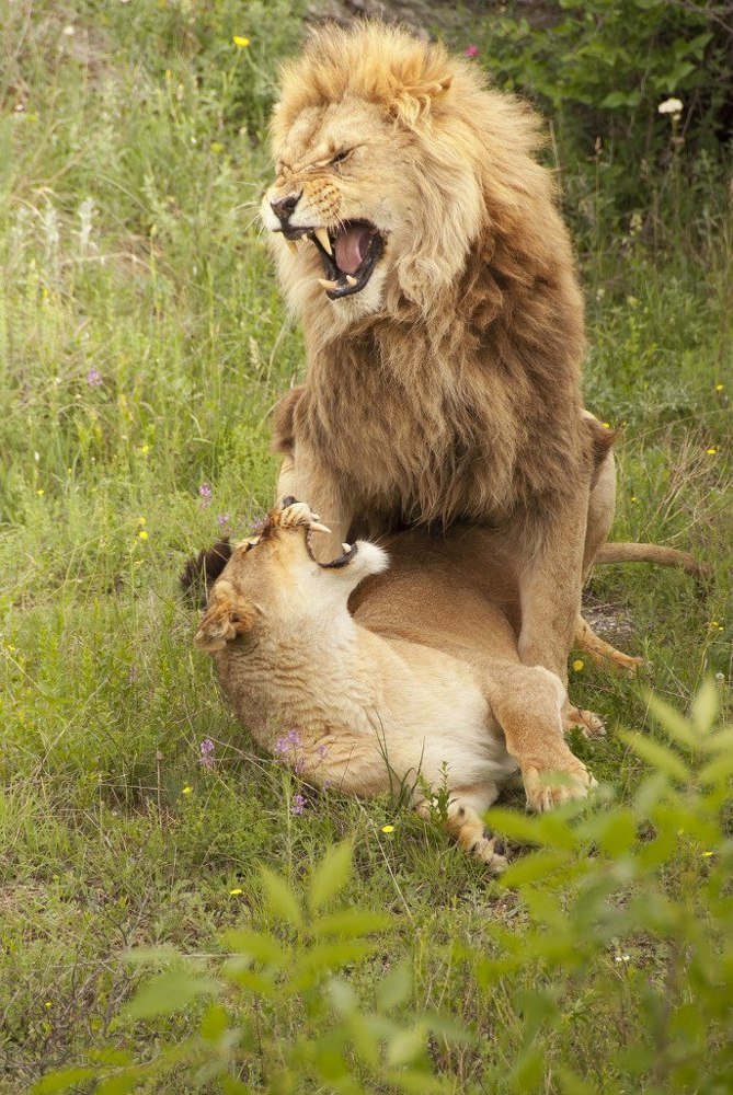 Photograph by Дмитрий Цепа