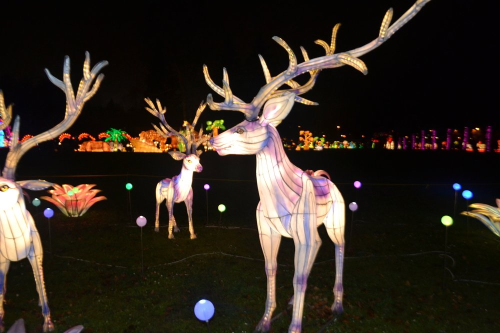 Photograph by Игорь Лебедев