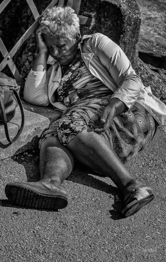 Photograph by M D Amira