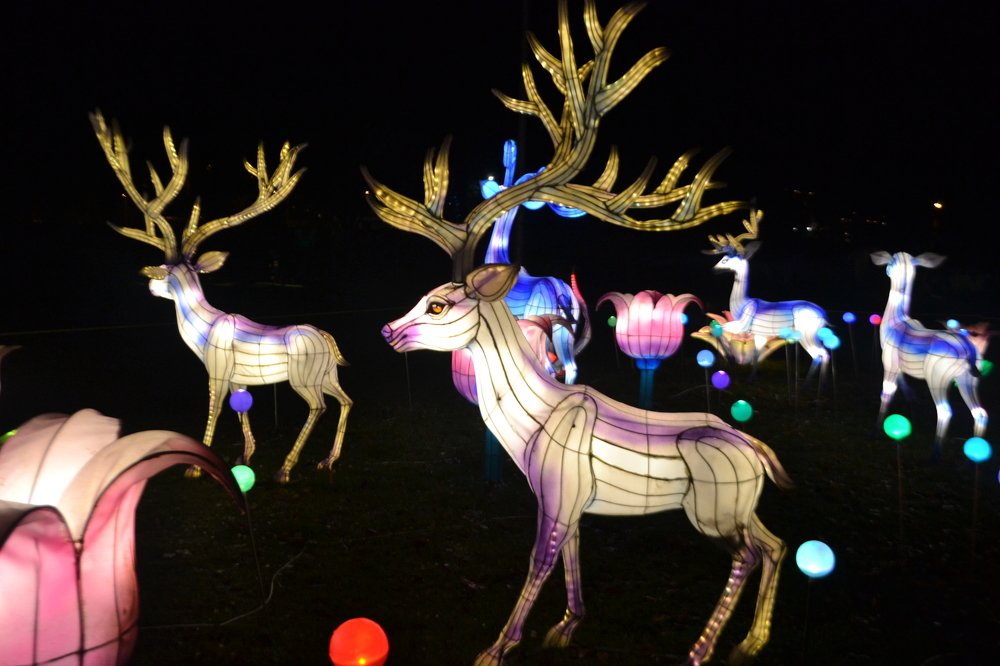 Photograph by Игорь Лебедев