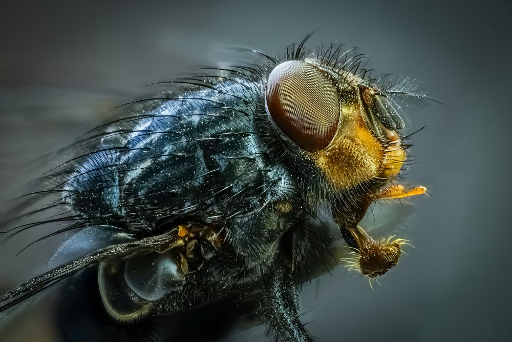 Photograph by Сергей Прокофьев