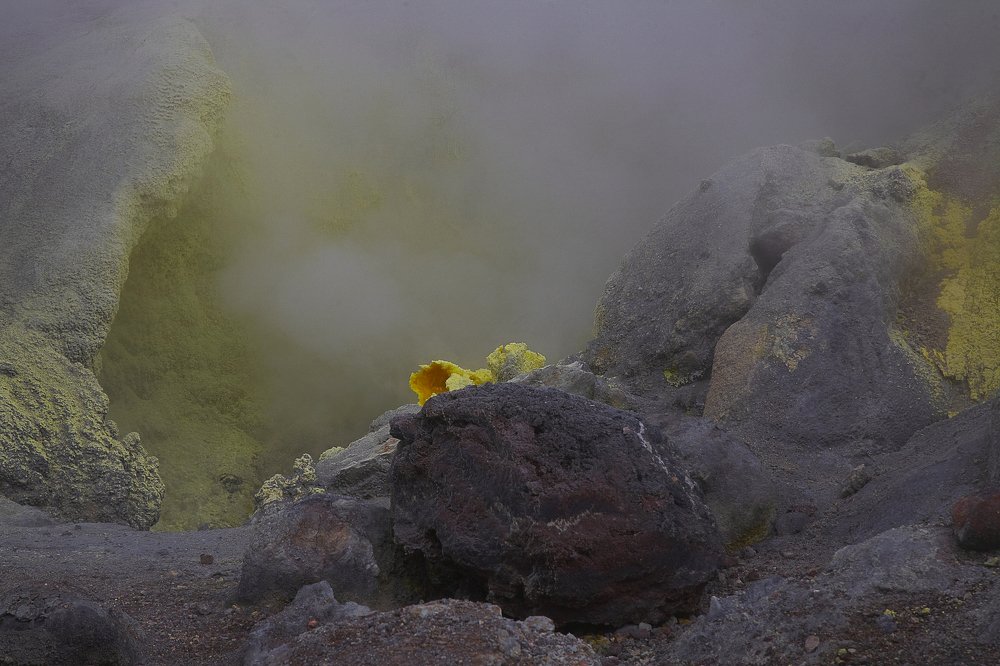 Photograph by Анастасия Тупицына