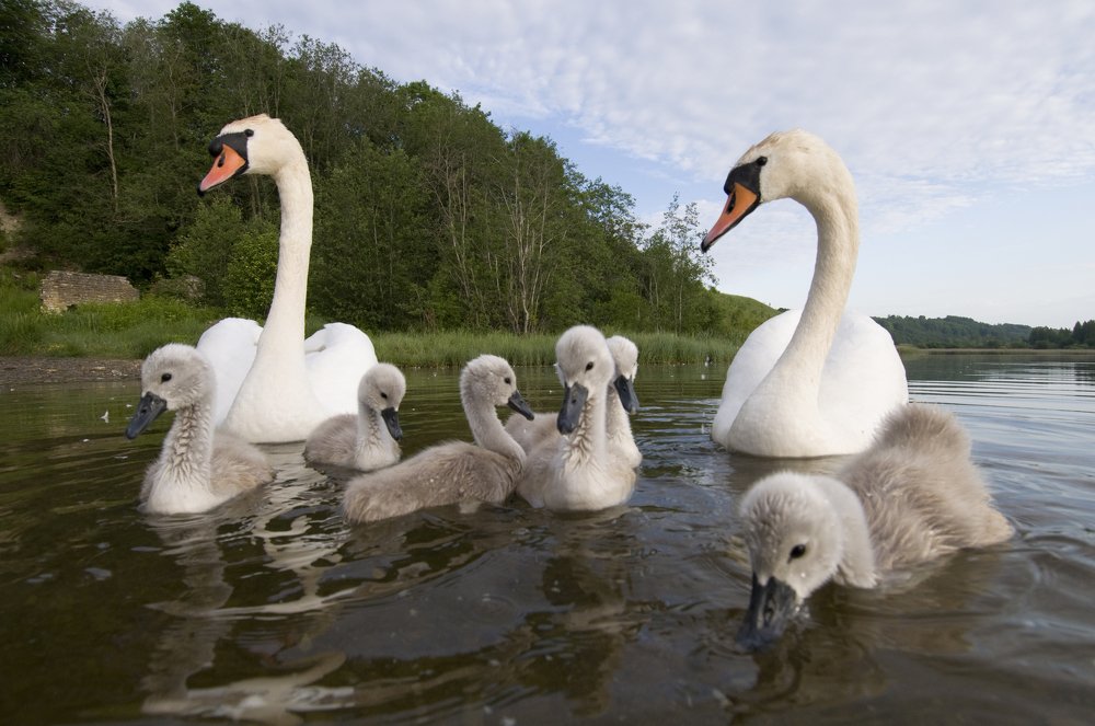 Photograph by Юрий Яковлев