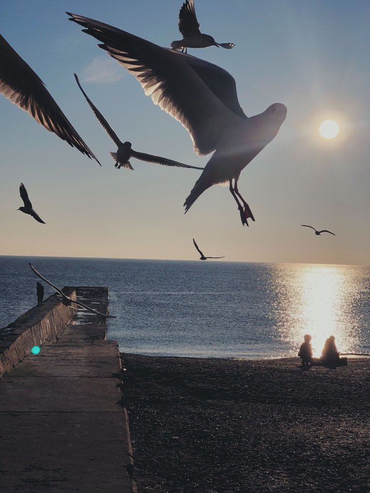 Photograph by Сергей Дубровский