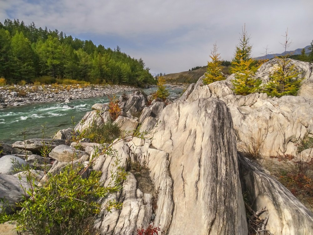 И на камнях растут деревья...