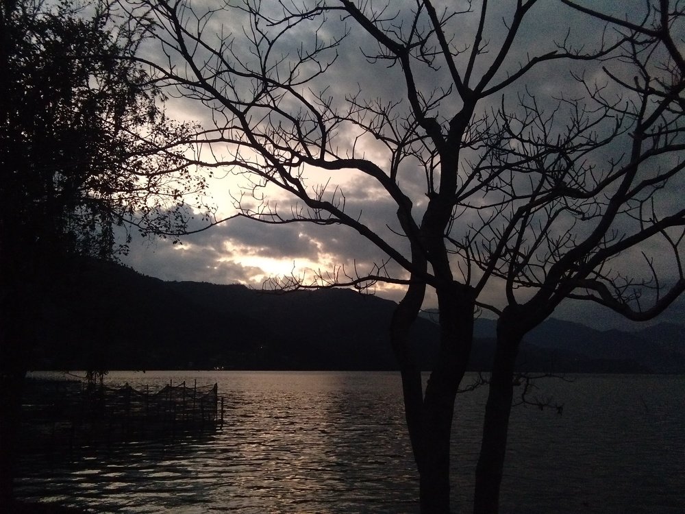 Evening at lake