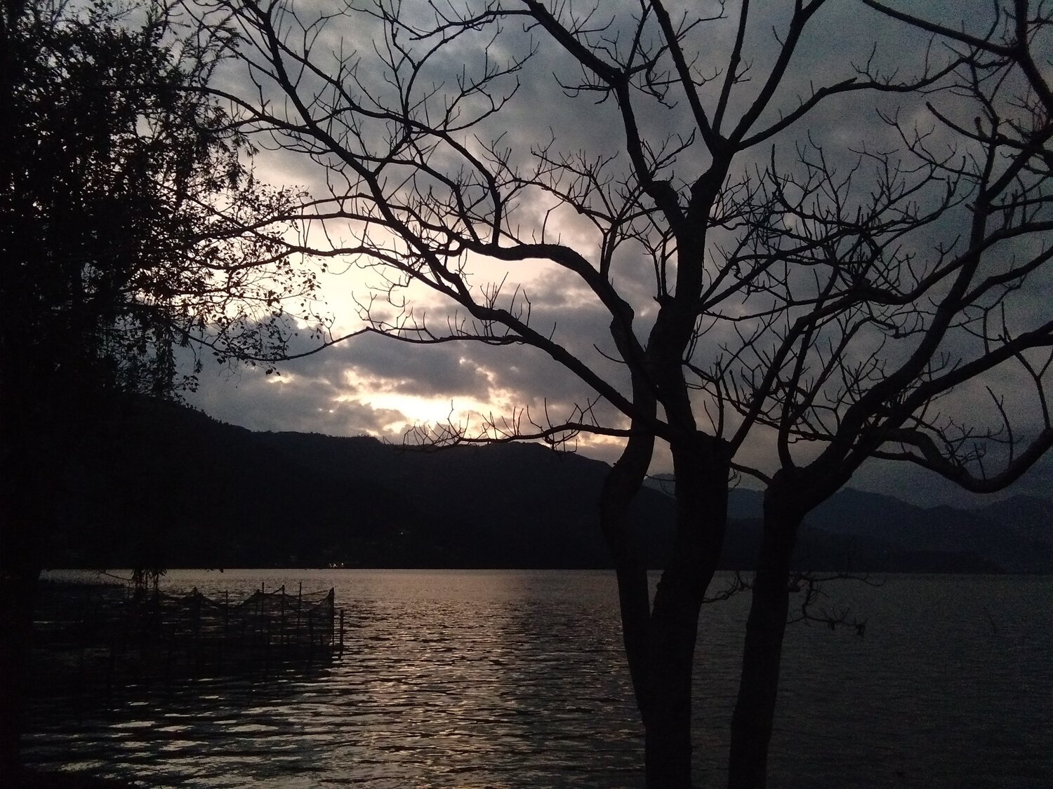 Evening at lake