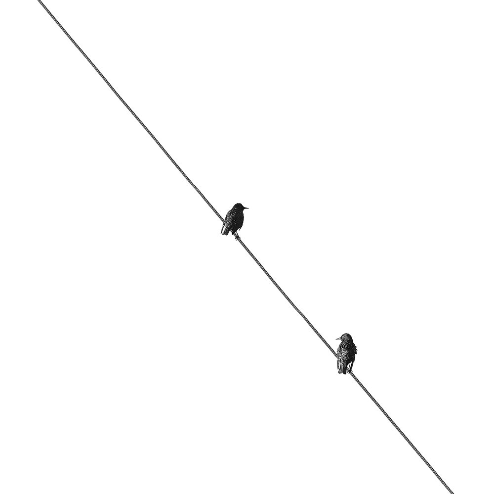 Photograph by Дмитрий Симбаев