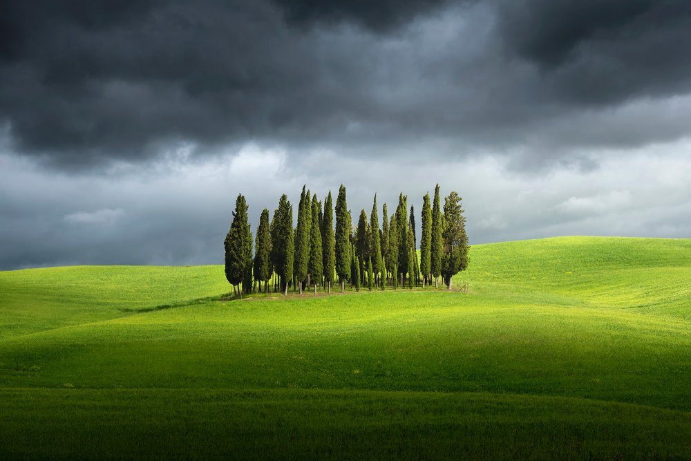 Photograph by Jakub Perlikowski