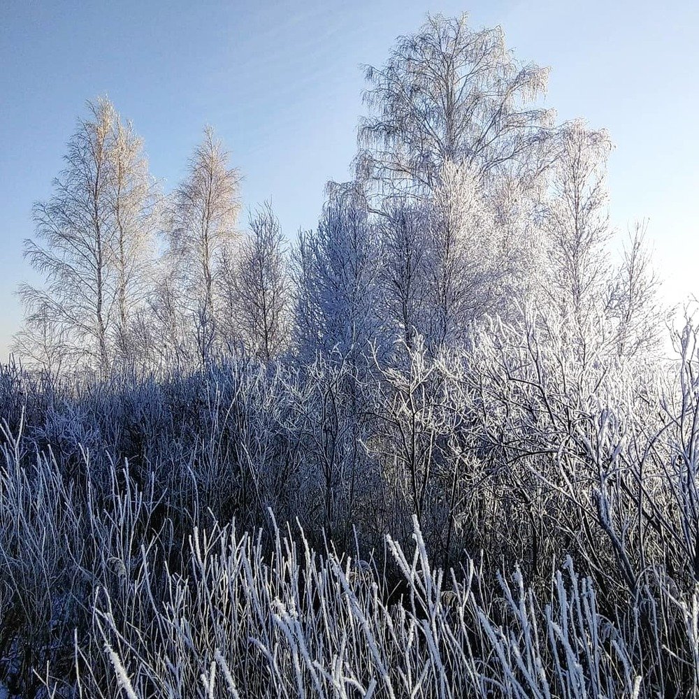 Photograph by Оксана Зяблова