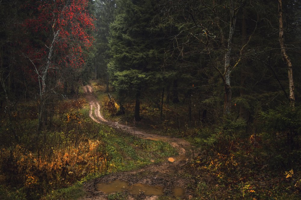 Photograph by Евгения Ботова