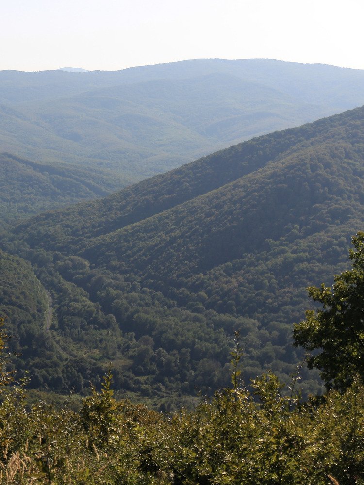 Photograph by Владимир Кульбит