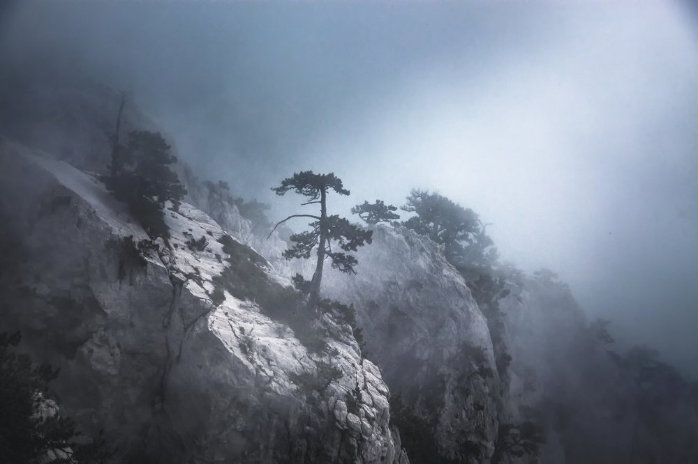 Photograph by Евгения Ботова