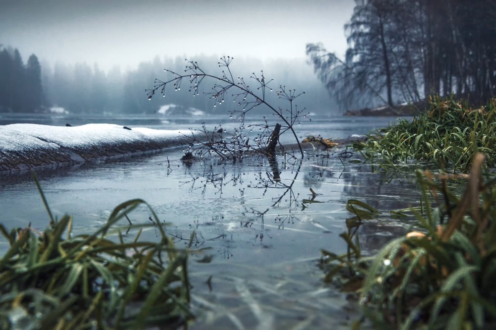 Photograph by Евгения Ботова