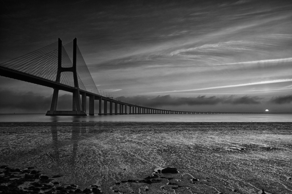 Photograph by Mário C.