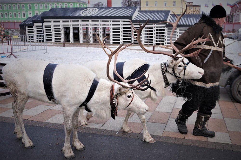 Photograph by Алеся Писнова