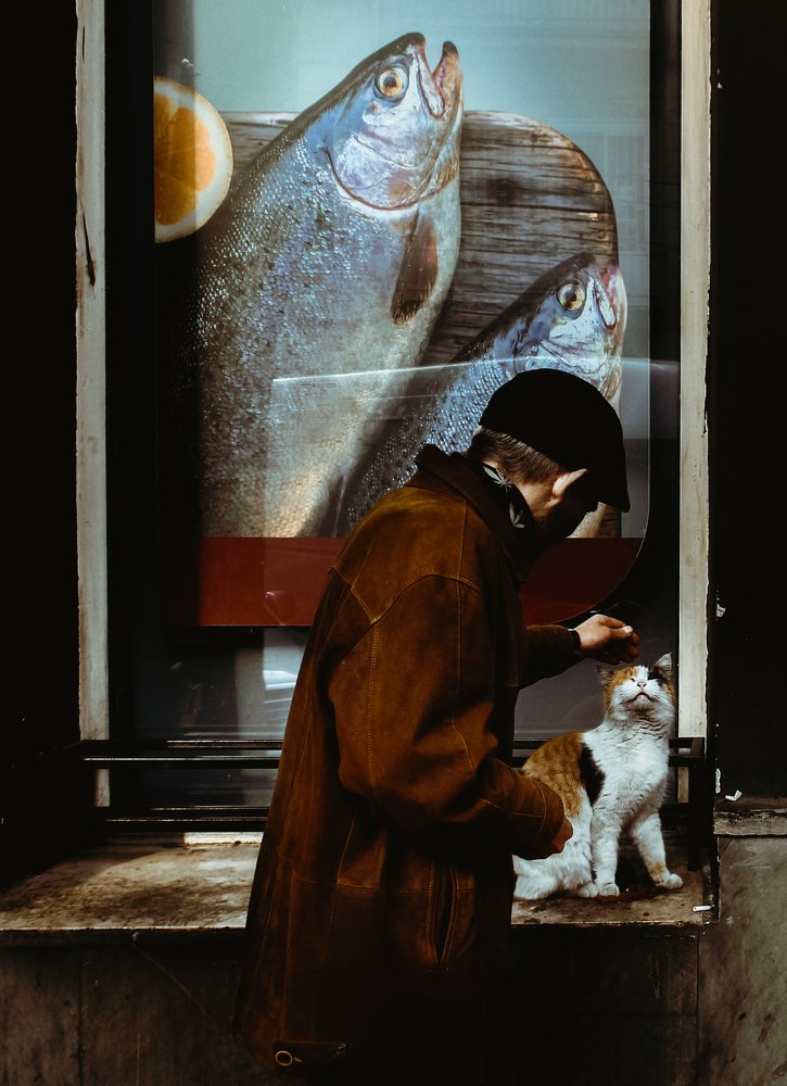 Photograph by Miane Da