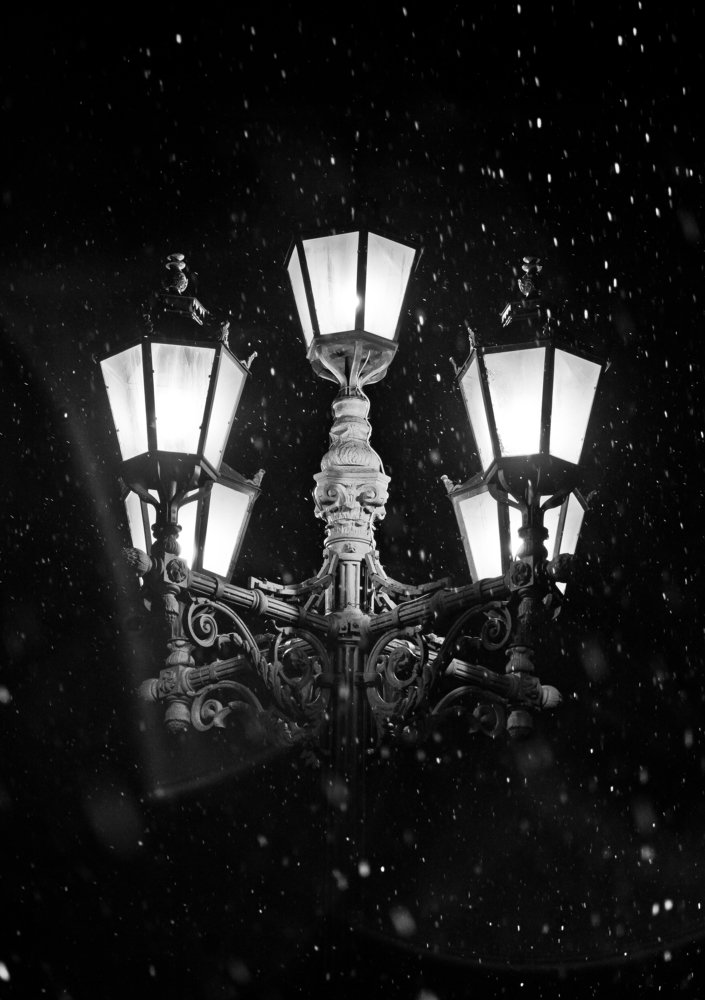 Photograph by Дмитрий Жижин