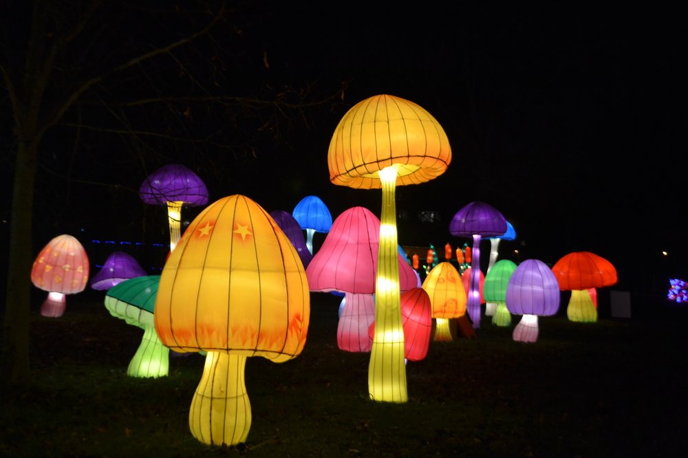 грибки фонарики