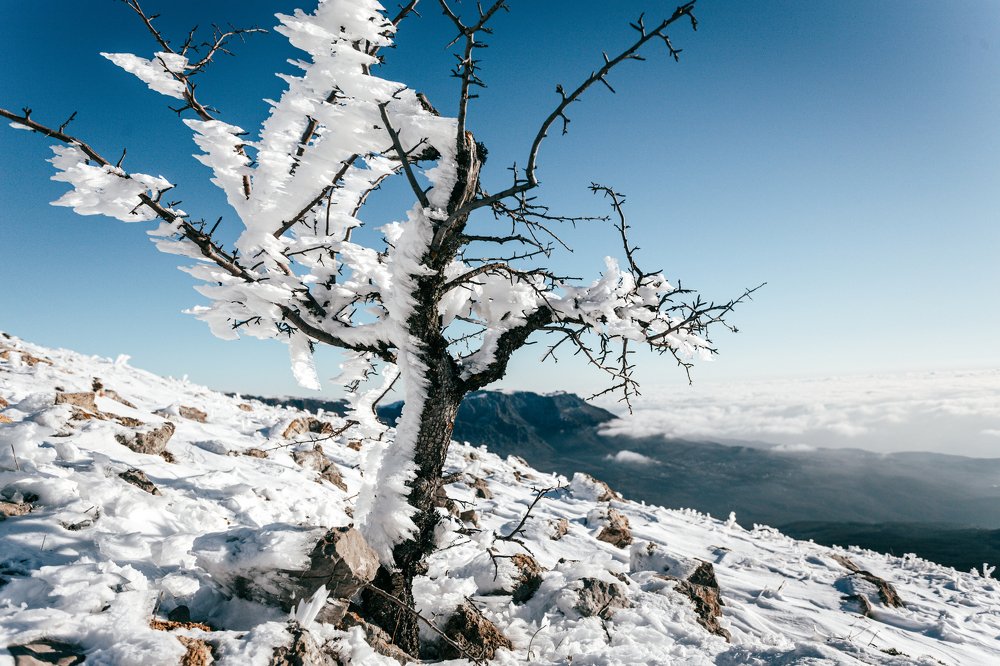 Photograph by Константин Аношин