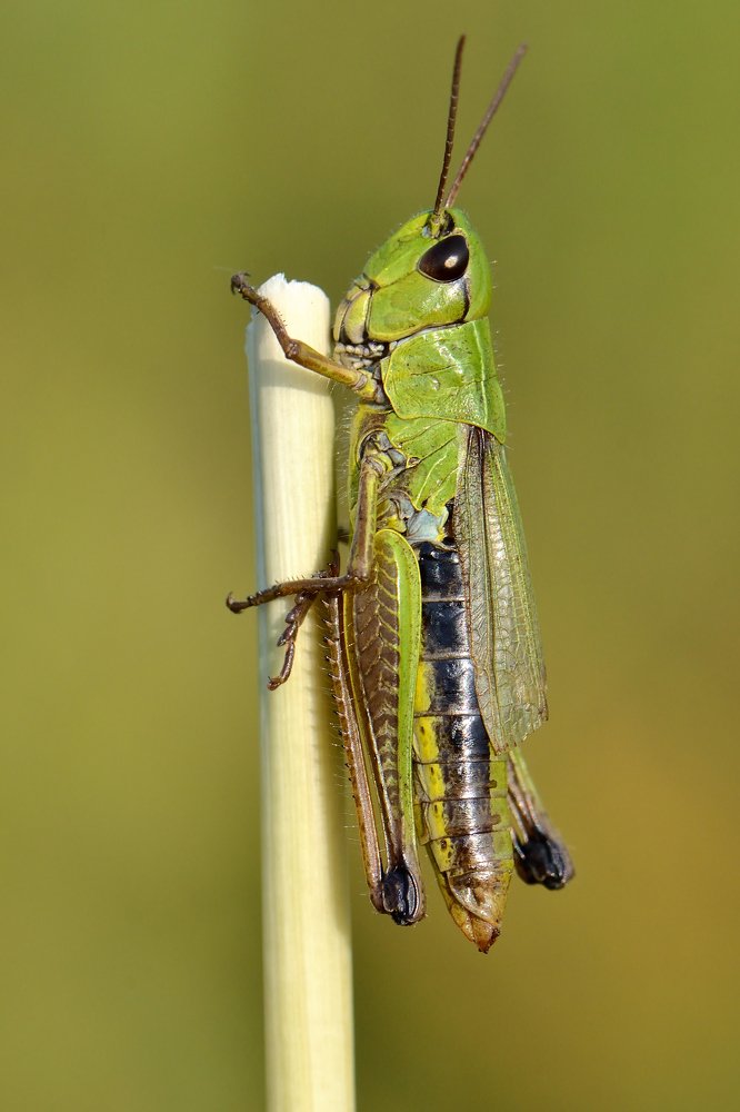 Photograph by Людмила Шалина