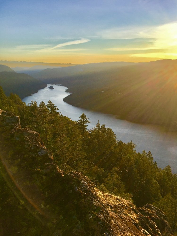 Jocelyn Hill rejuvenation