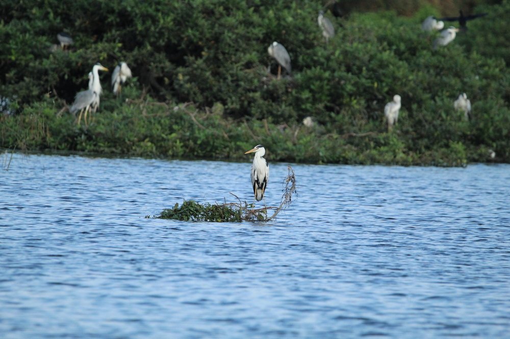 Photograph by Lokesh B