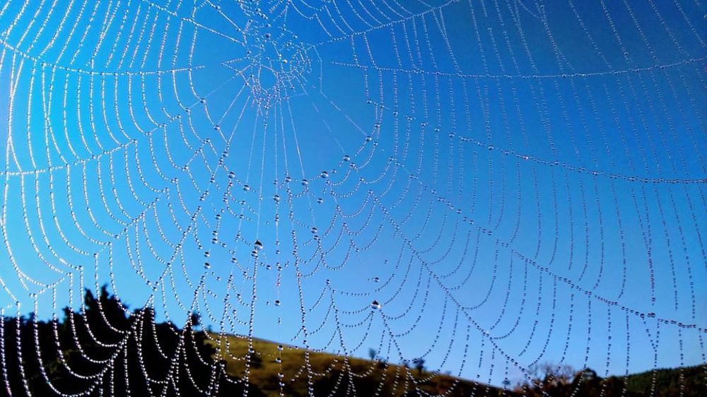 web in the sky