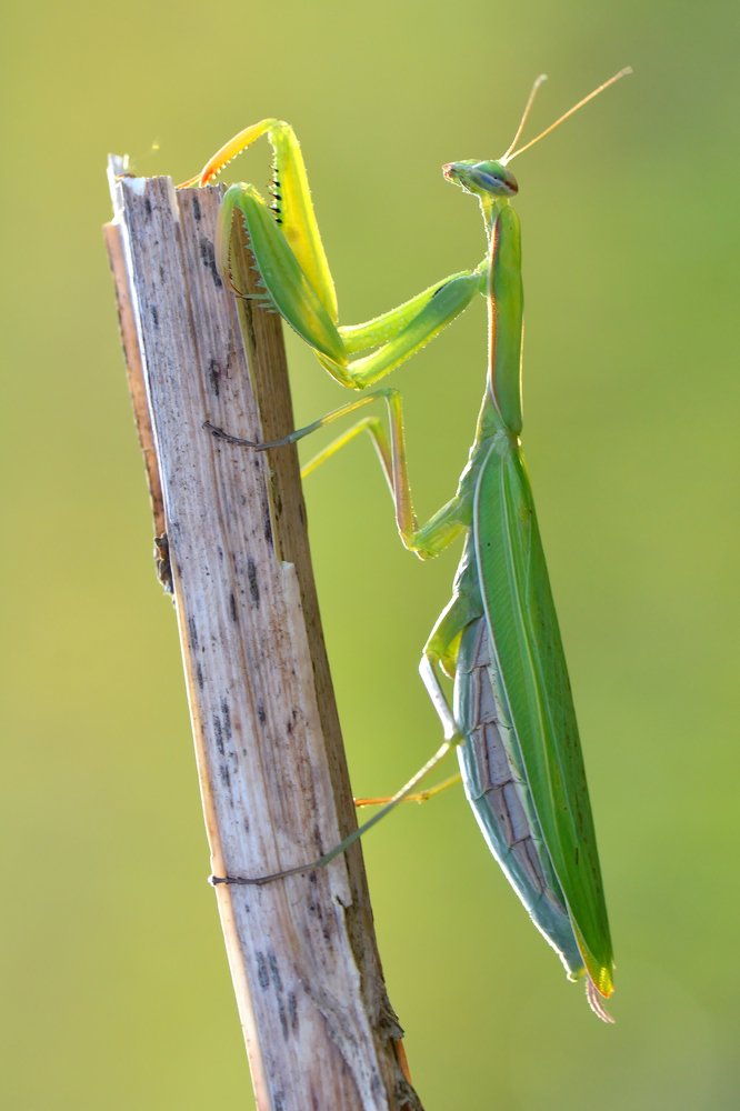 Photograph by Людмила Шалина