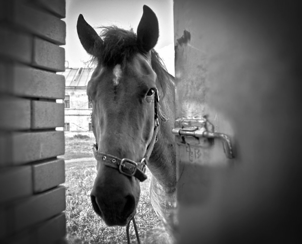 Photograph by Белова Лариса