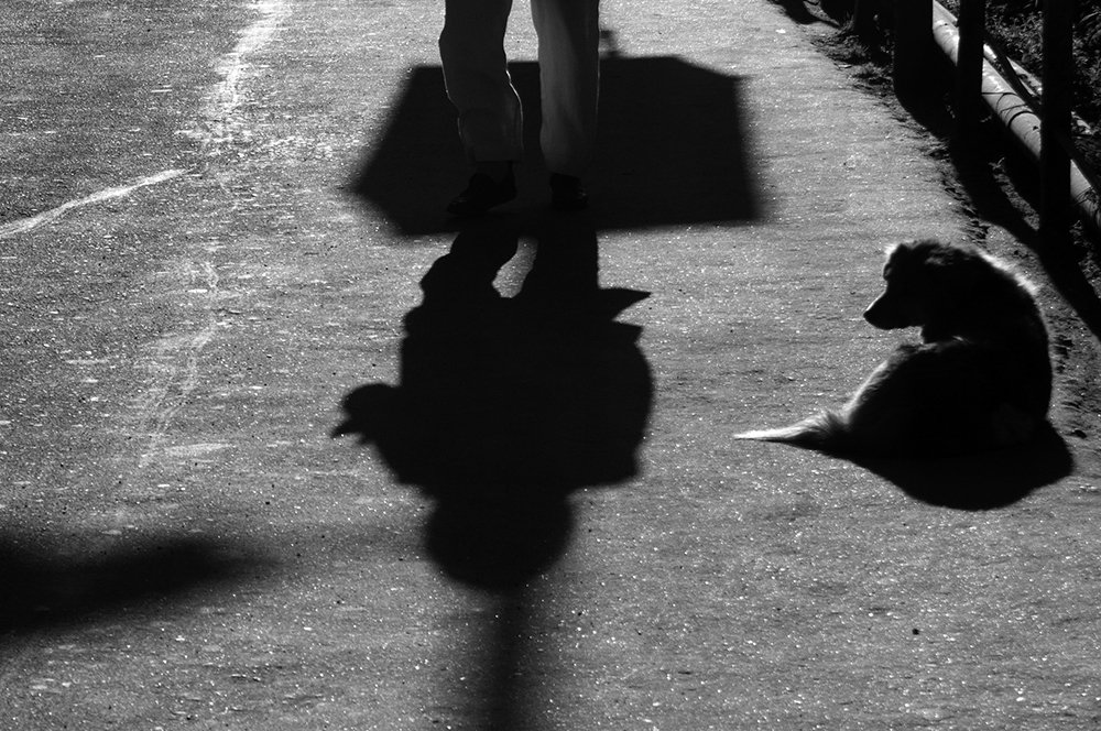 Photograph by Kaushik Dolui