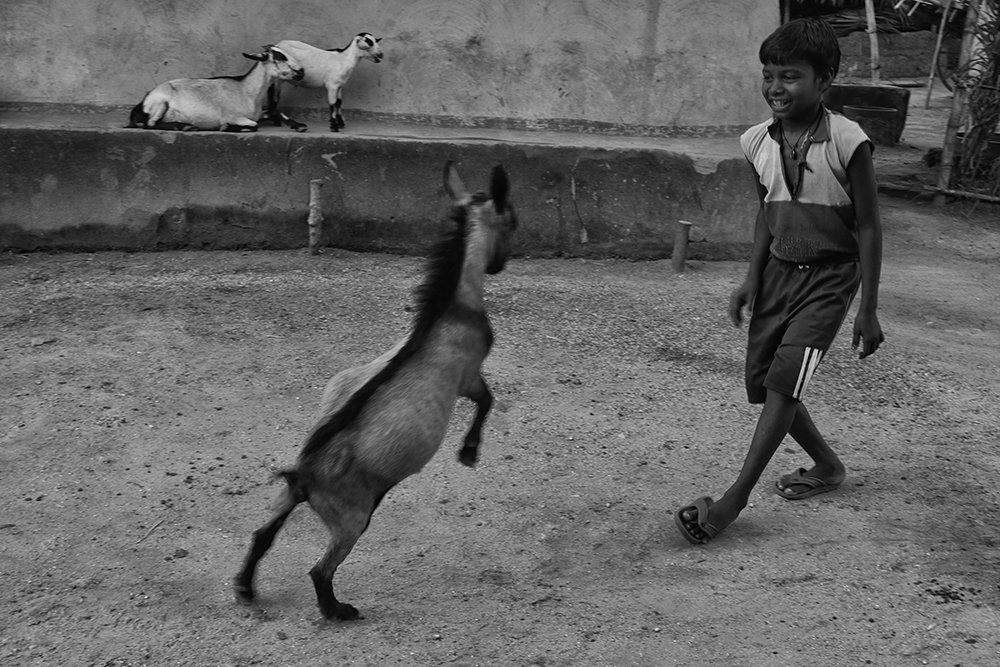 Photograph by Kaushik Dolui