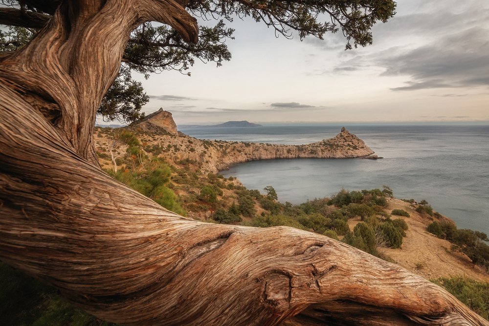 Новосветский зимний пейзаж.