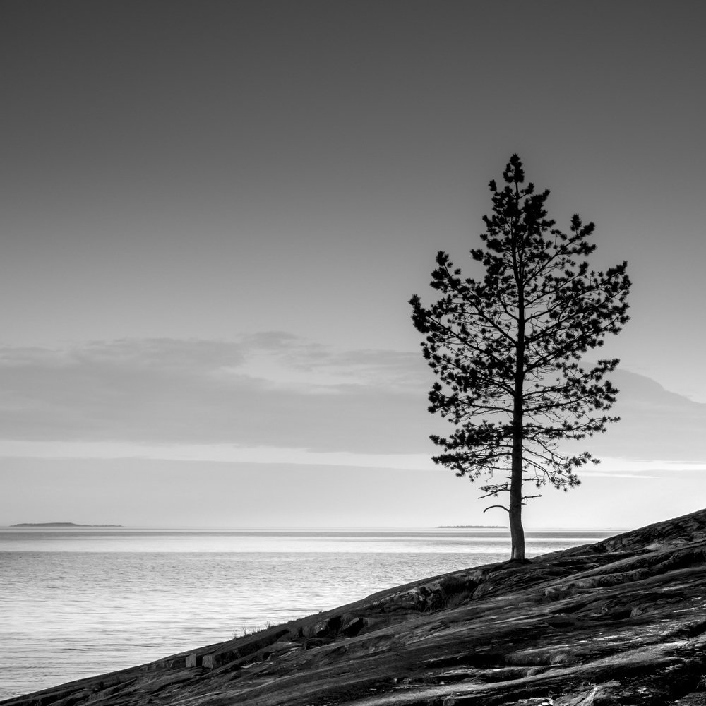 Photograph by Константин Гончаров