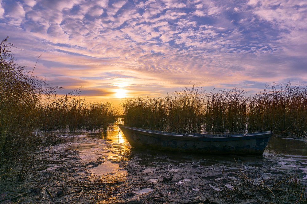 Утро у реки.