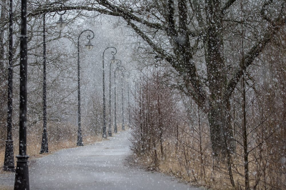 Фотография автора Татьяна Ливеровская