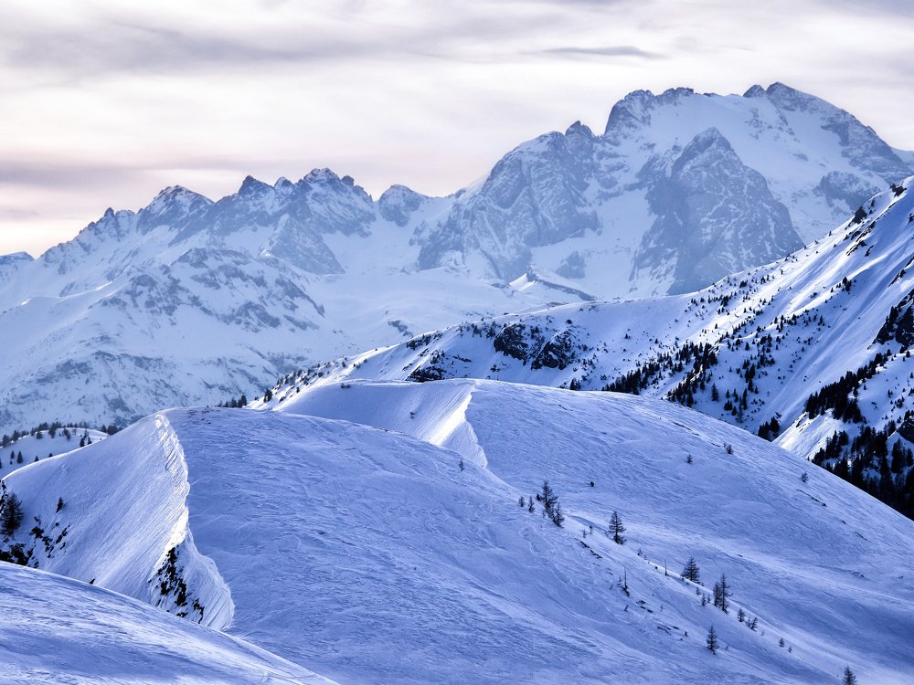 Photograph by Алексей Горшенин