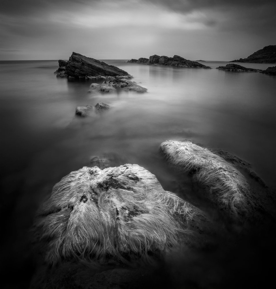 Фотография автора Александър Александров