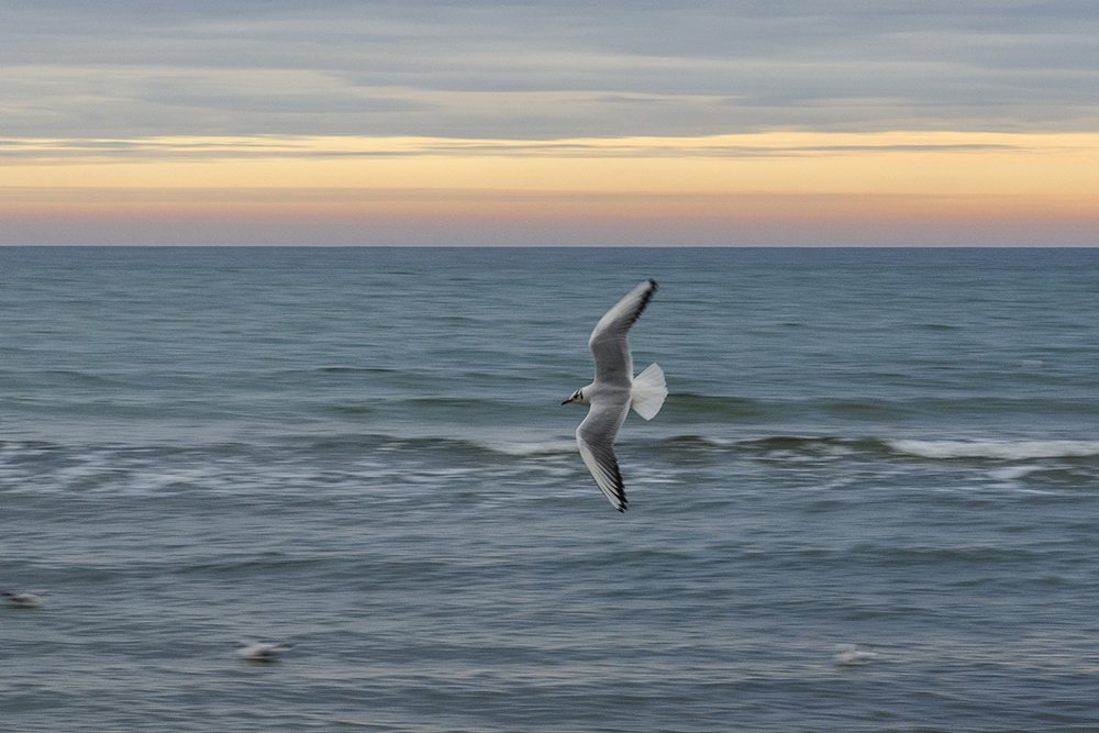 Photograph by Анна Шац