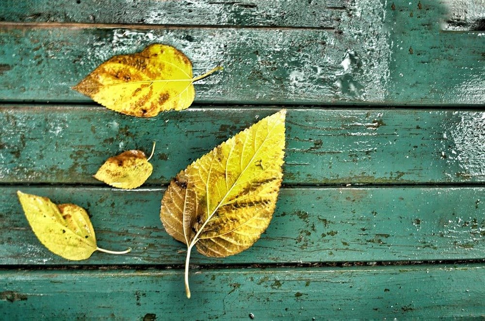 Photograph by Nurdan Çivici