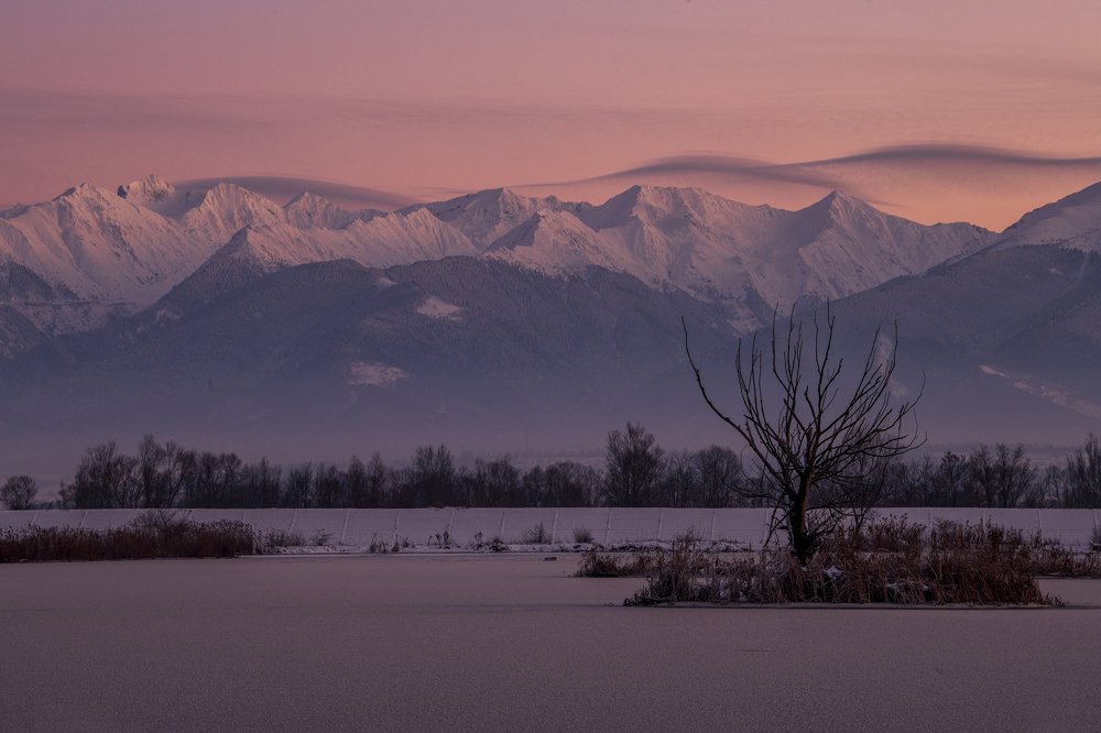 Photograph by dan tarcea