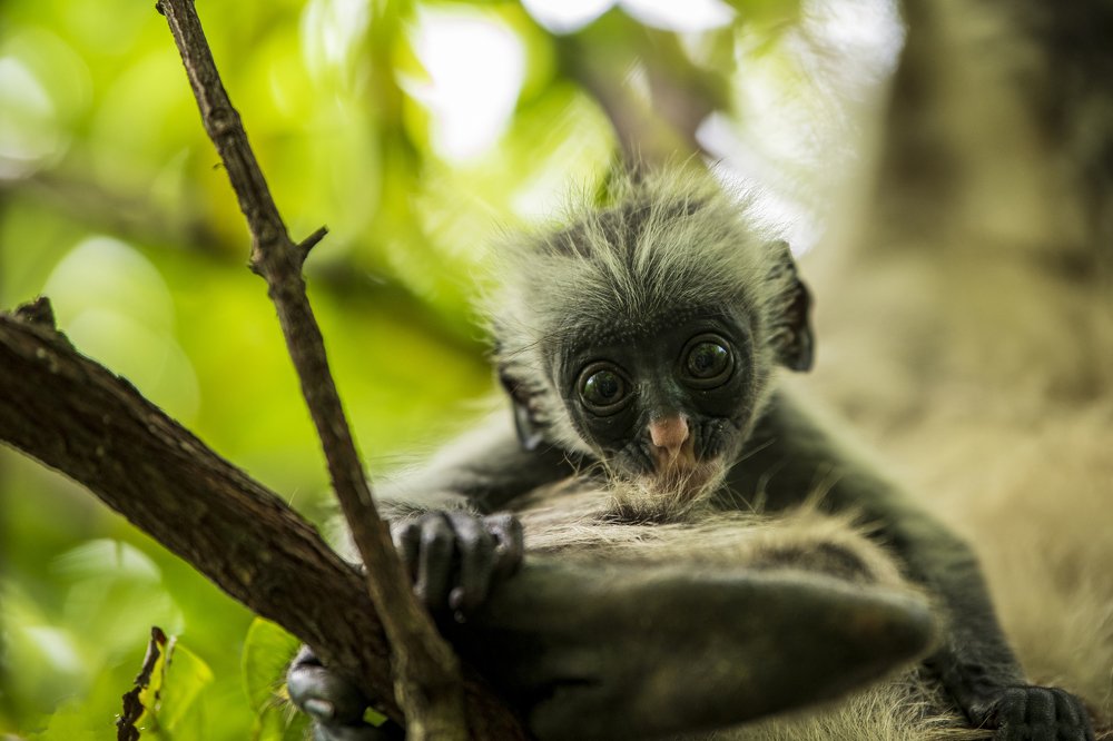 Photograph by dan tarcea