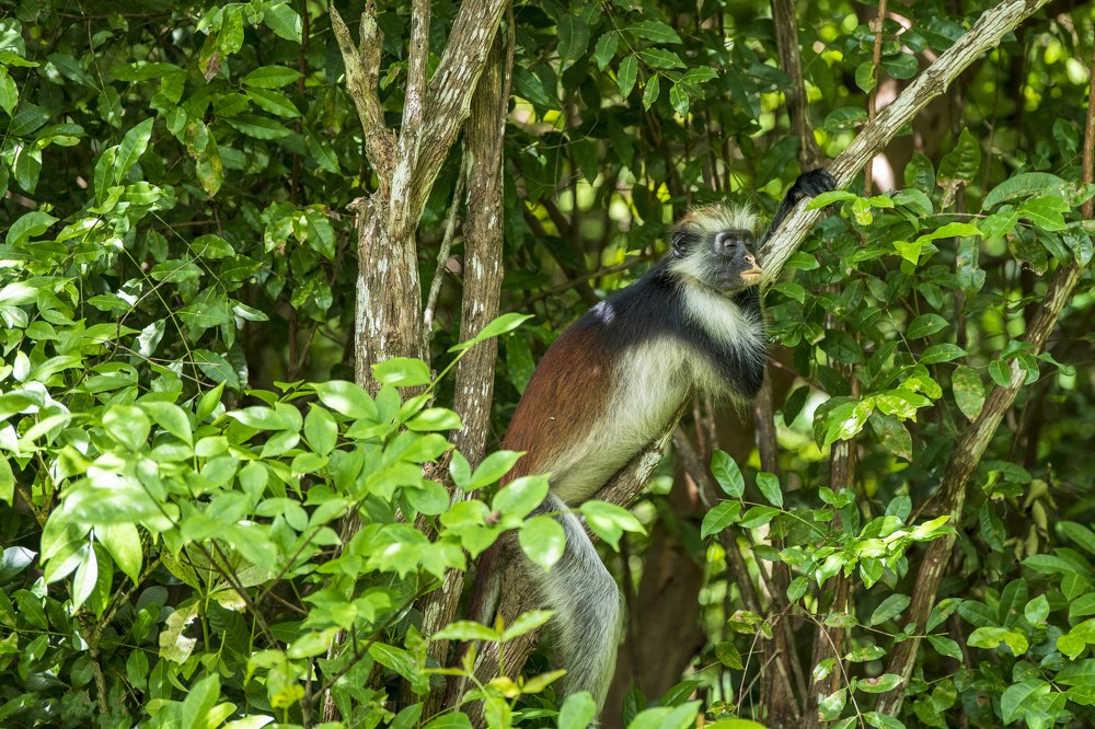 Photograph by dan tarcea