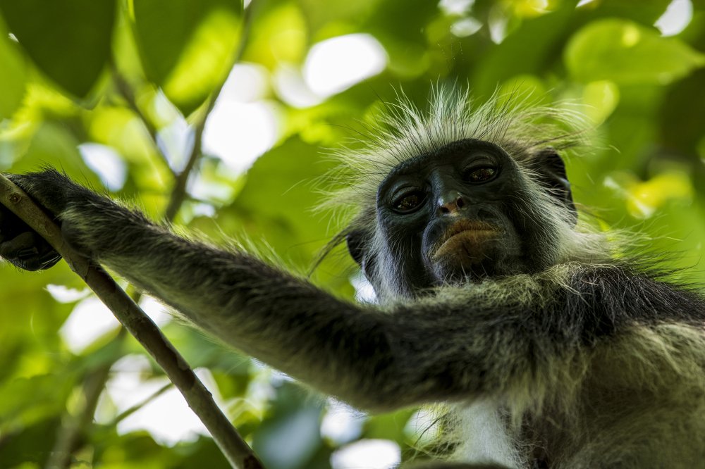 Photograph by dan tarcea