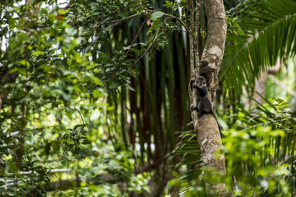 Photograph by dan tarcea