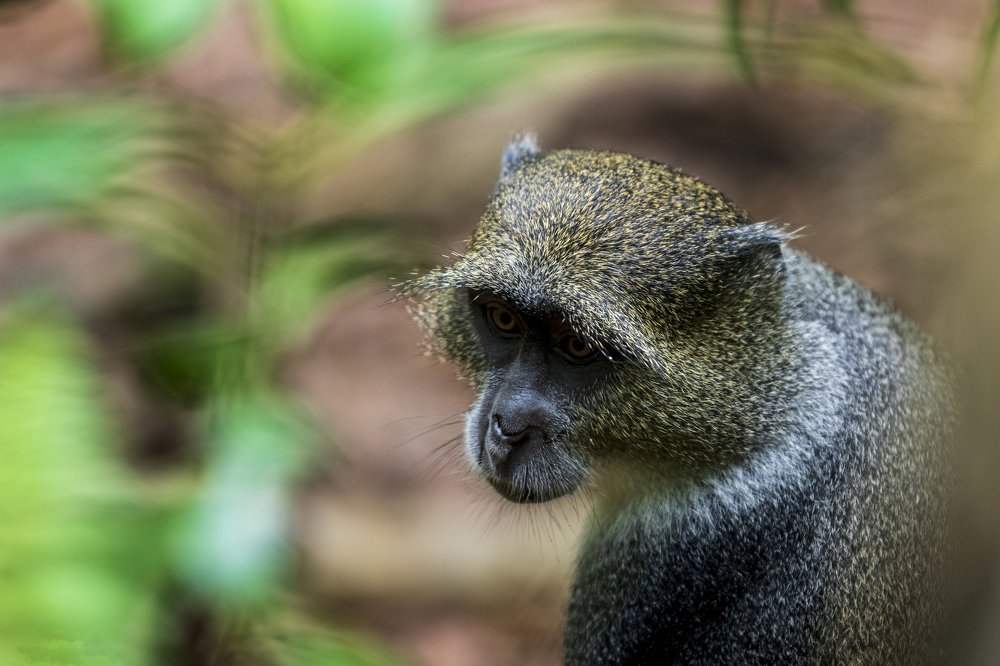 Photograph by dan tarcea