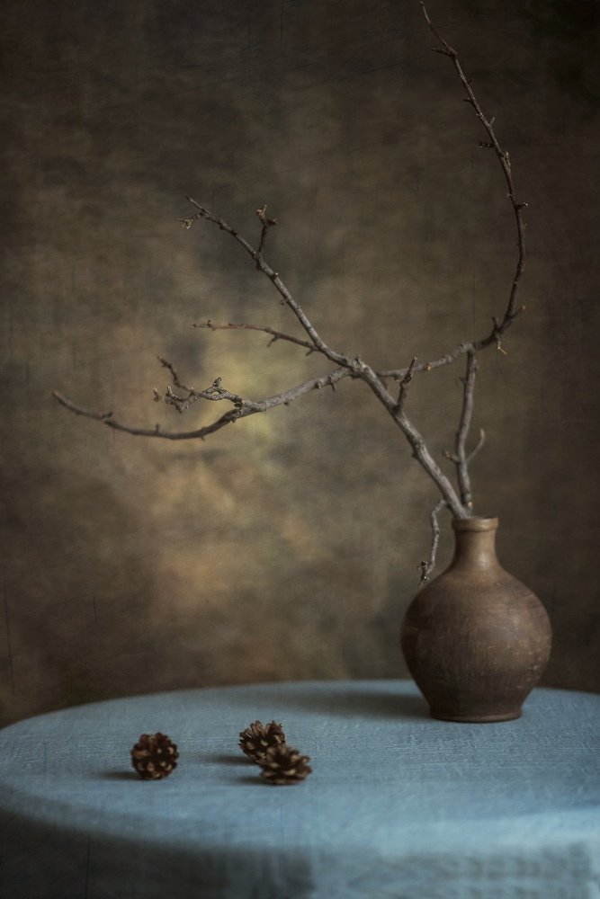 Photograph by Ольга Халабузарь