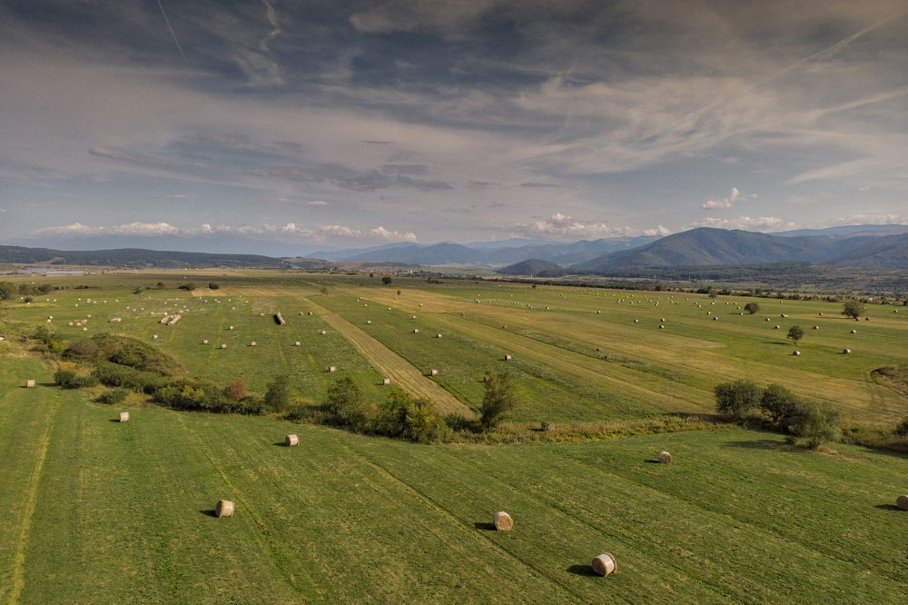 Photograph by dan tarcea