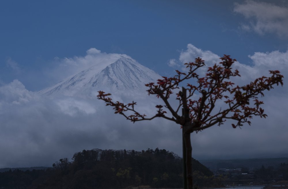 Photograph by dan tarcea