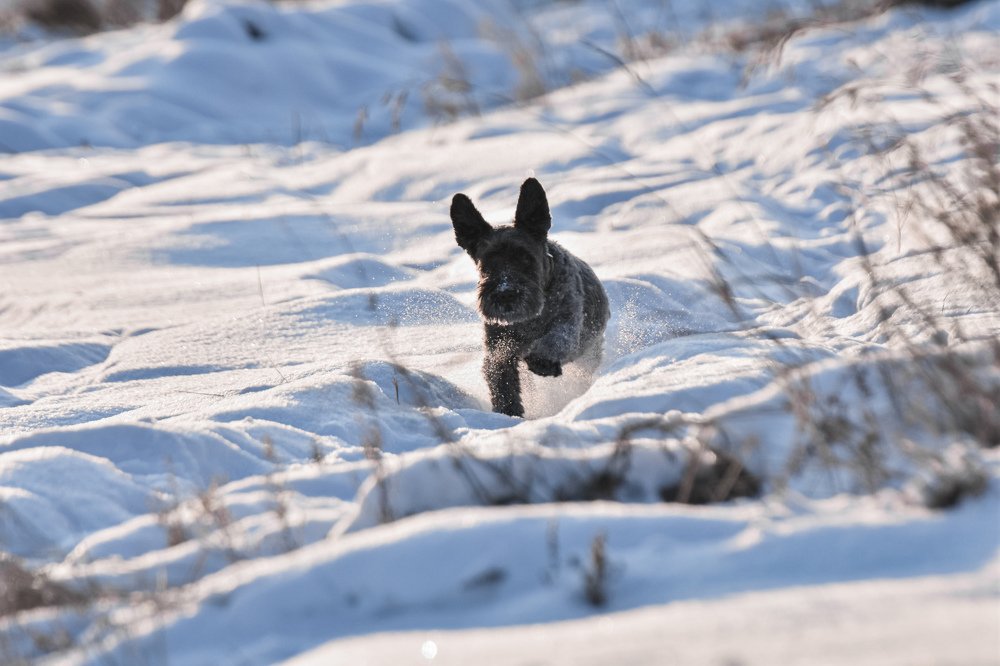 Photograph by Амир Гильмутдинов